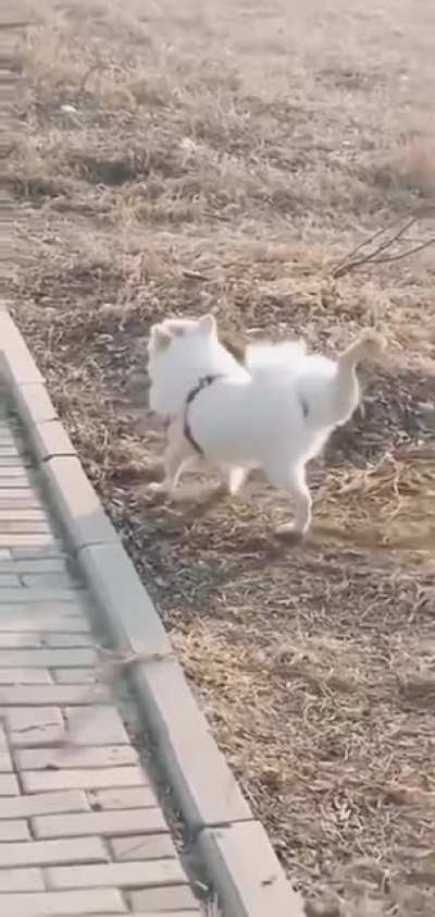 He&rsquo;s just doing his exercise