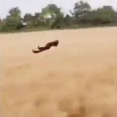 I’m 15 and this is yeet