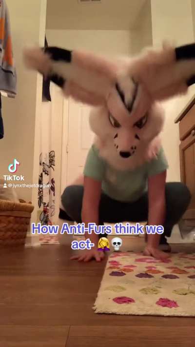 How Anti-Furs think we act&hellip; ☠️