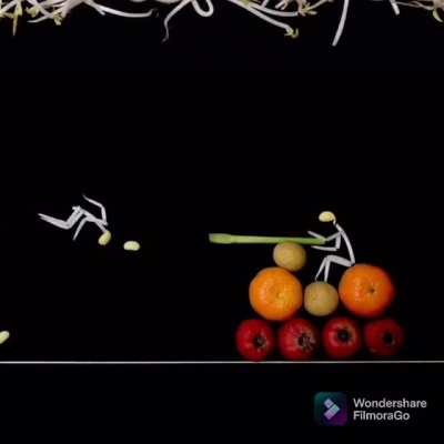 Stop-motion beansprout Contra