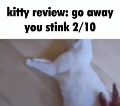 stinky