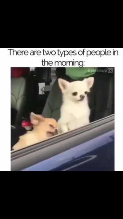 I'm the second guy