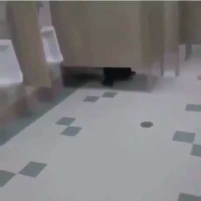 Poop