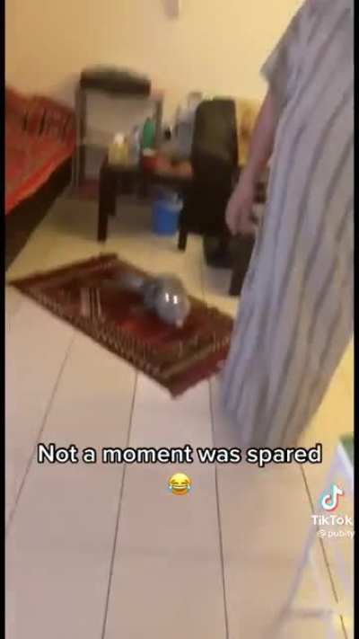 Found this on TikTok thought I&rsquo;ll share it