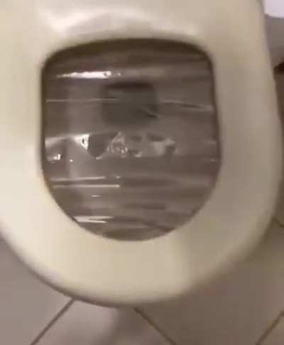 But why tho ?
