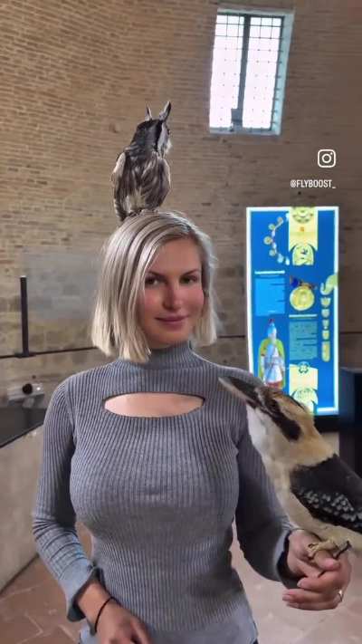 A gal and her kookaburra and her&hellip; other super cute Bird??