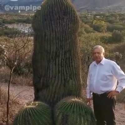VIVA MÉXICO CABRONES