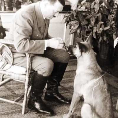 Dogs can sense bad people