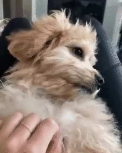 Did you just touch my tongue!