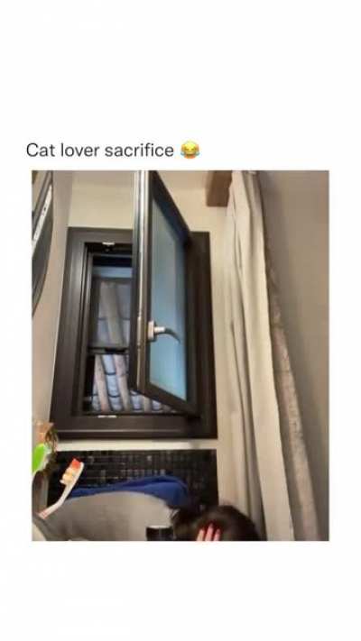 Cat lover sacrifice