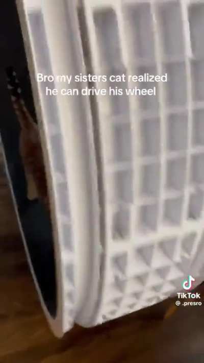 The Wunkmobile