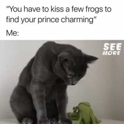 Why settle for someone who could potentially be a prince when there are ones who already are?