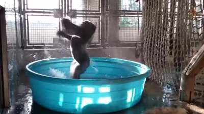 Happy monke