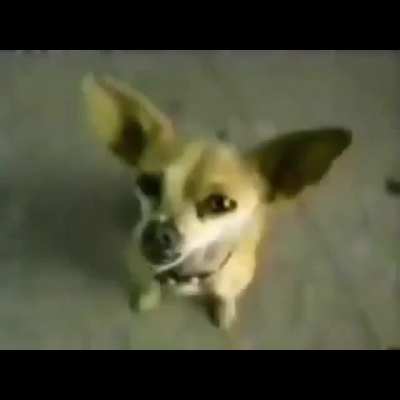 aweonasogang - Video #5017