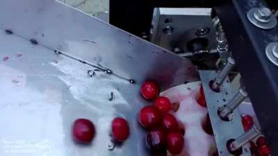 Cherry pitter