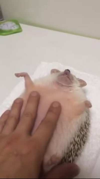 Pure Bliss