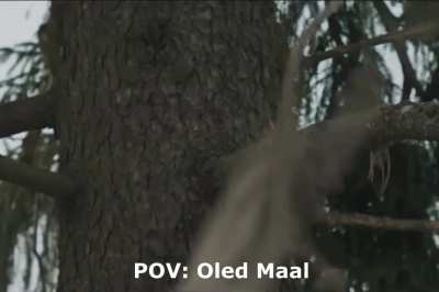 Maaelu fr