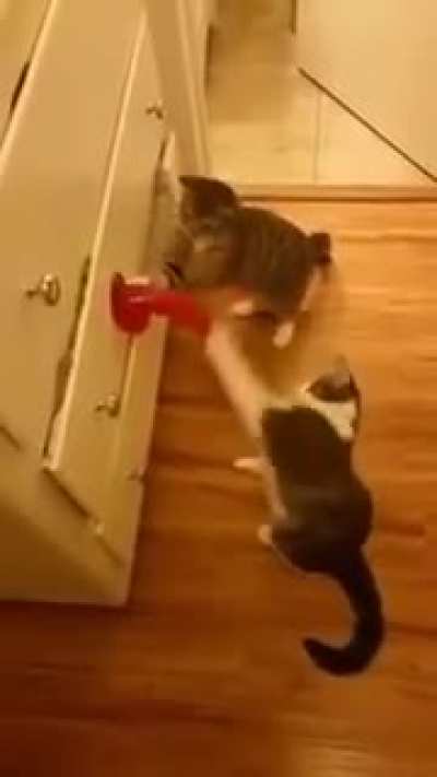 Every pussy loves a big dildo