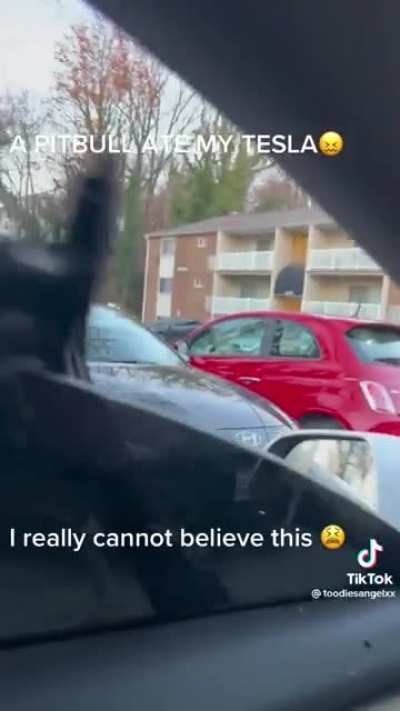 I guess they don&rsquo;t just go after children, stay safe.
