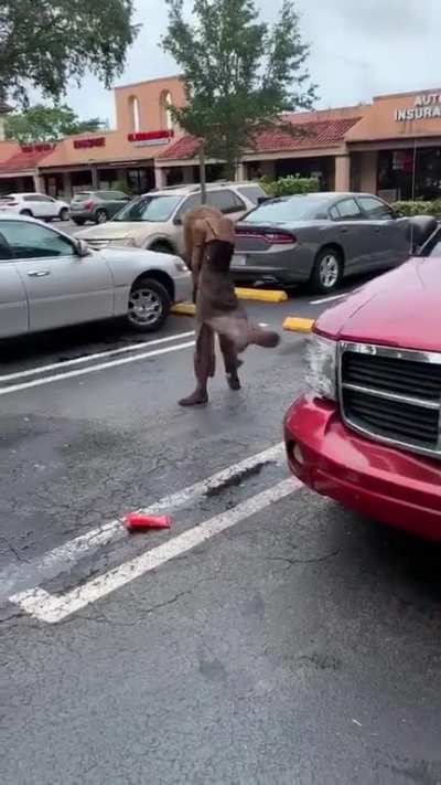 Walking Dead