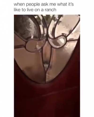 "Hello there, let me in hehe". Imagine hearing someone banging on the door in the middle of the night. And there is the most bizarre and creepy creature standing on your porch