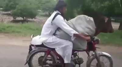 Special delivery.