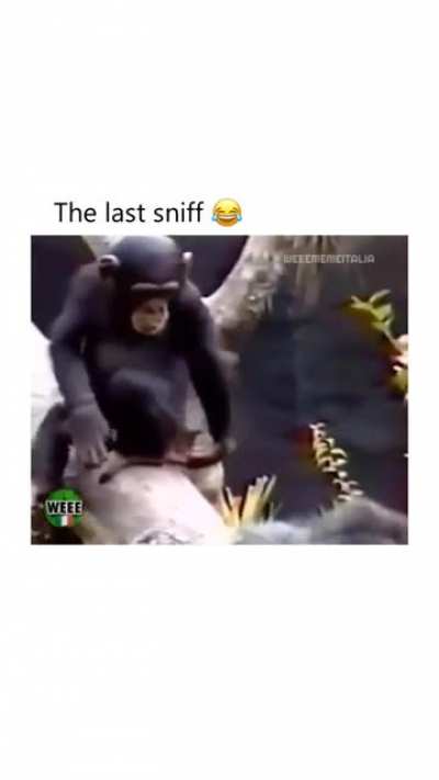 🤣