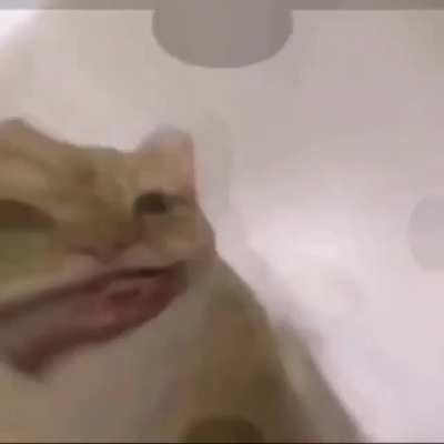 W - Word 😯 W - Word 😯 W - Word 😯 W - Word 😯 W - Word 😯 W - Word 😯 W - Word 😯 W - Word 😯 W - Word 😯 W - Word 😯 W - Word 😯 W - Word 😯 W - Word 😯 W - Word 😯