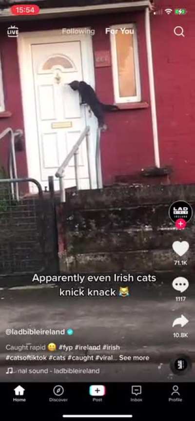 A cat knocking on someone&rsquo;s door