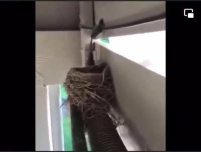 You will never see a better version of The Grudge like this one&hellip; EVER 😂