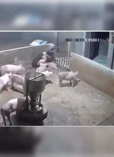 There goes dinner.