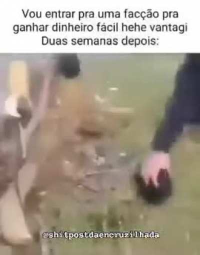 Qual &eacute; gore que esta neste audio?