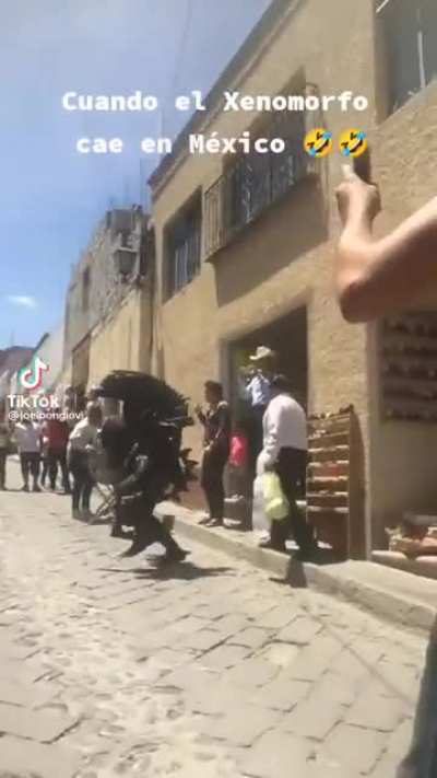 M&eacute;xico magico