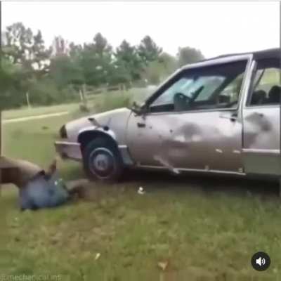 Impact - Response