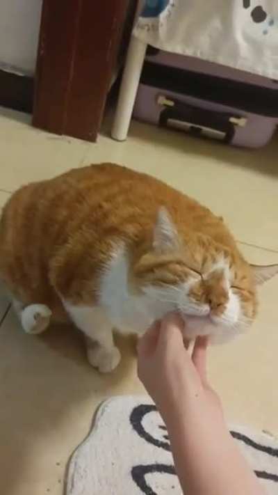Oh yeah, that's the spot.