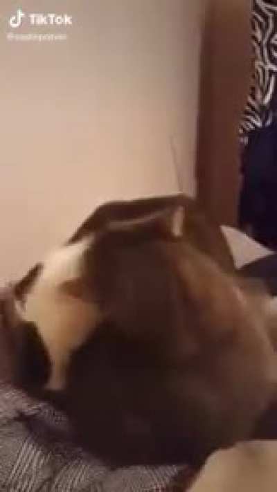 EEEEeeeeE&mdash;