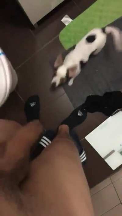 Just the tip