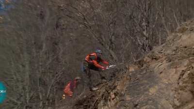 In Russia, tree breaks chainsaw
