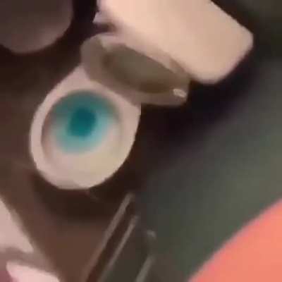 inodoro xd