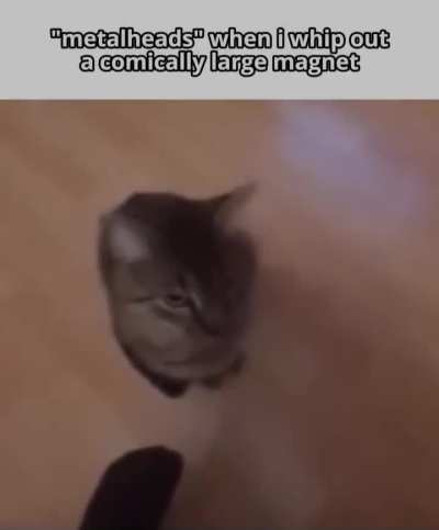 🧲