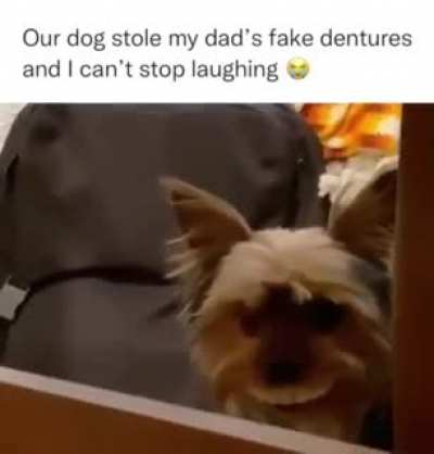 Stolen dentures