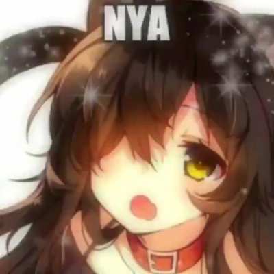 welp time to help clean up my neko's puke