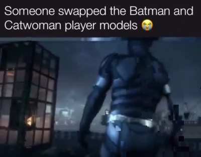 Is He Stupid?