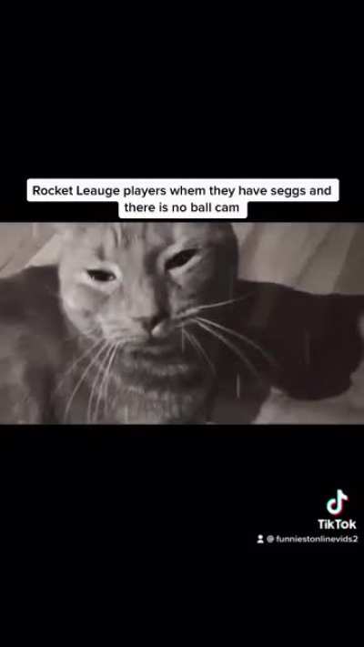 Sad cat moment