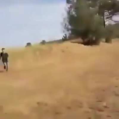 Que habr&aacute; pasado despu&eacute;s????