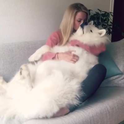 need to hug fluff!When a fluffy could decides to be a doggo