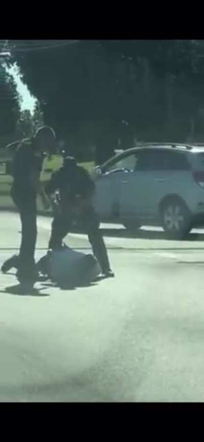 Guy stands on top of his car, pours gasoline on himself, fumbles trying to set himself on fire, and is immediately taken down by off-duty police officers. Had signs on his car about Illinois Governor JB Pritzker, DCFS, and saving stolen children. Happened