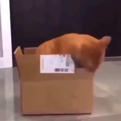 mmmmmm cardbord