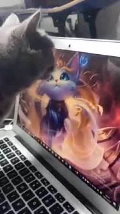 Sick degenerate League of Legends player kisses their computer monitor when their waifu is in the screen.