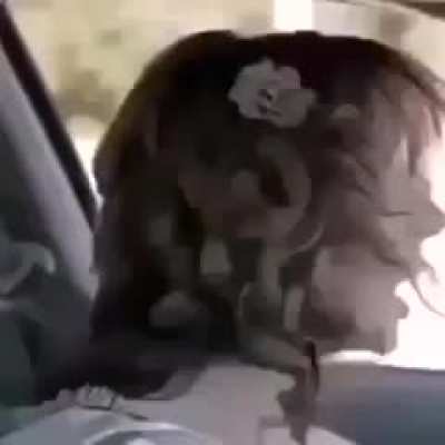 Drive recklessly